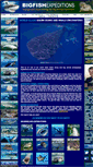 Mobile Screenshot of bigfishexpeditions.com