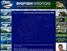 Tablet Screenshot of bigfishexpeditions.com